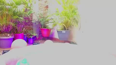 Snapshot of paulina_sodi chatting on June 2026 07:39:02 PM Paulina online show from June 2026 07:39:02 PM