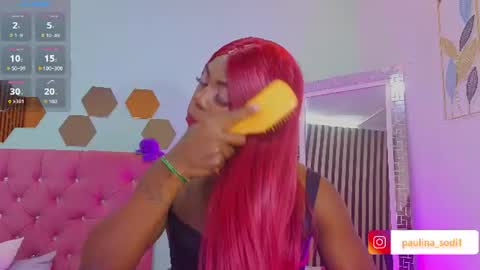 Snapshot of paulina_sodi chatting on June 2026 08:13:02 PM Paulina online show from June 2026 08:13:02 PM