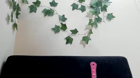 Snapshot of paulinches_love chatting on February 2026 08:24:02 PM Paulinches online show from February 2026 08:24:02 PM