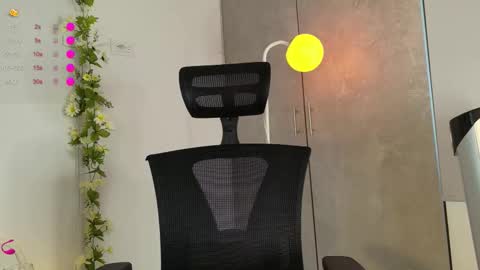 paulirose online show from February 2026 07:56:02 PM