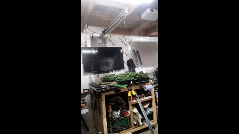 pawelniceguy online show from January 2026 02:26:02 AM