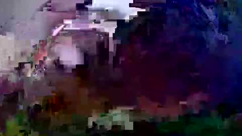 Coco channel  online show from December 2024 10:06:02 AM