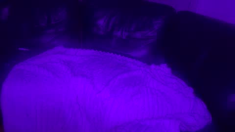 paybarbi online show from November 2025 07:14:01 AM