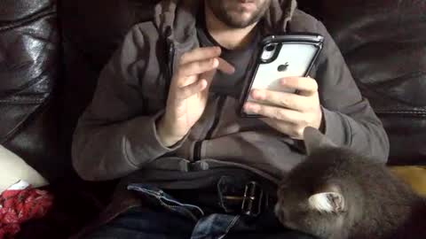 pedrotheamateur online show from December 2024 12:38:01 PM
