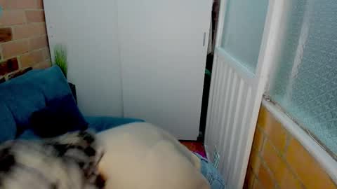 Penelope online show from March 2026 10:38:01 PM