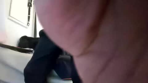 penesvoladores92 online show from February 2026 10:31:01 PM