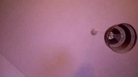 penesvoladores92 online show from February 2026 01:39:02 AM