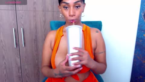 Percy Jackson online show from December 2024 06:32:01 AM