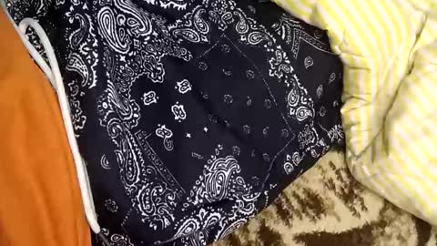 Snapshot of perdido4_20 chatting on January 2025 02:08:02 PM perdido4_20 online show from January 2025 02:08:02 PM