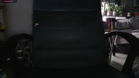 peregrintpelfox online show from February 2026 09:04:02 AM