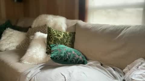 Snapshot of perfectnips742 chatting on September 2025 04:08:01 PM Nelly online show from September 2025 04:08:01 PM