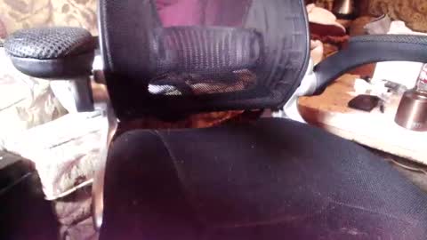 perfecto337 online show from February 2026 03:20:01 PM