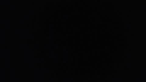 lecia online show from October 2025 08:48:01 AM