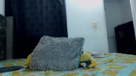 Snapshot of perseus_bwc chatting on June 2026 08:55:02 PM Perseus online show from June 2026 08:55:02 PM