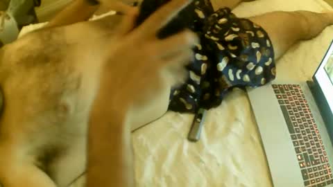 Snapshot of perthguytop chatting on April 2026 12:50:02 PM perthguytop online show from April 2026 12:50:02 PM