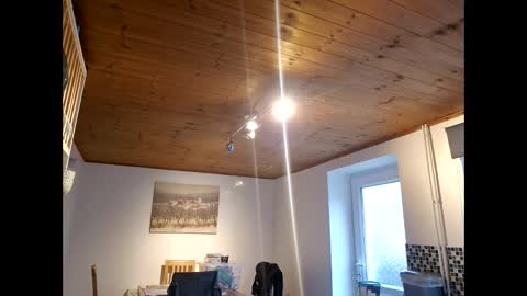 pete_le_meat online show from March 2026 12:22:01 PM