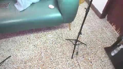 Snapshot of peter_chase chatting on February 2026 06:09:01 PM Peter online show from February 2026 06:09:01 PM