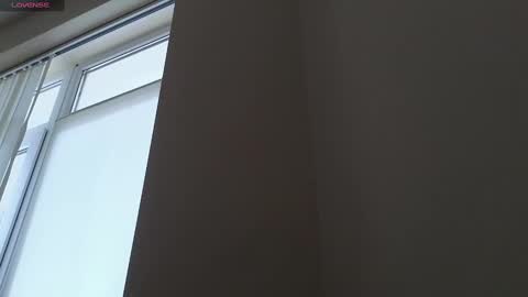 Snapshot of petite_peach__ chatting on January 2025 11:54:01 AM Evelin online show from January 2025 11:54:01 AM