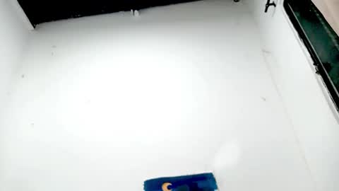 Snapshot of petiteivoryqueen chatting on November 2025 04:57:01 AM danna online show from November 2025 04:57:01 AM