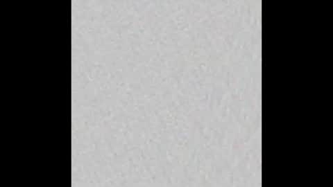 Petiteprinces online show from March 2025 07:59:02 PM