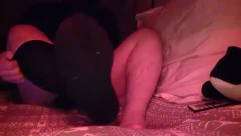 petmask online show from April 2026 12:34:01 AM