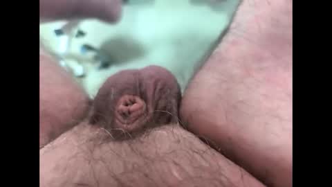 petrol63102 online show from March 2026 10:51:01 AM