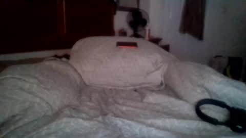 Snapshot of petrparkr2888 chatting on July 2026 05:25:02 AM petrparkr2888 online show from July 2026 05:25:02 AM