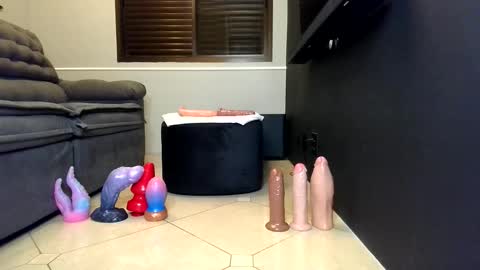 petsexboy online show from June 2026 03:41:01 AM