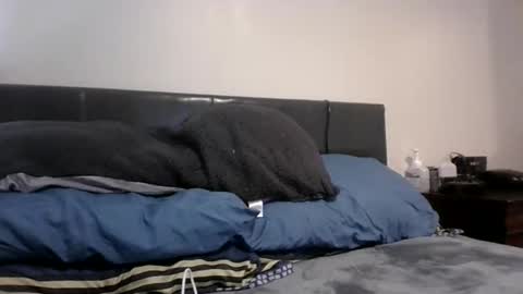 phantomfreakbbc online show from February 2026 04:38:01 AM