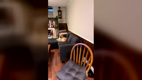 PhatAssBlond online show from December 2025 03:05:01 PM