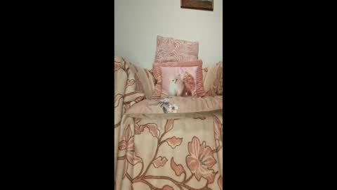 philos1979 online show from January 2026 01:31:02 AM