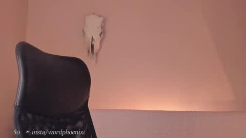 Snapshot of phoenixx_x chatting on December 2024 10:02:02 PM phoenixx_x online show from December 2024 10:02:02 PM