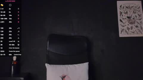 Snapshot of phoenixx_x chatting on March 2025 11:01:02 PM phoenixx_x online show from March 2025 11:01:02 PM