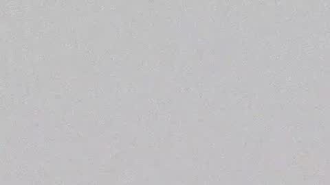 Snapshot of phu_q chatting on January 2025 08:10:02 PM DDT online show from January 2025 08:10:02 PM