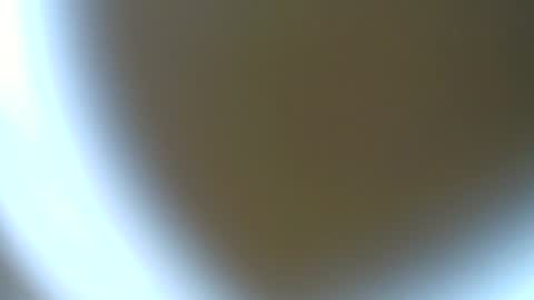 Snapshot of piccoloduro chatting on June 2026 04:50:01 PM piccoloduro online show from June 2026 04:50:01 PM