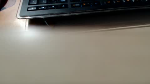 pier49x online show from December 2024 03:15:02 AM