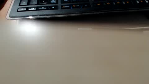 pier49x online show from February 2025 03:55:02 AM