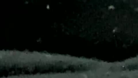 Snapshot of pilura chatting on July 2026 07:34:01 AM pilura online show from July 2026 07:34:01 AM