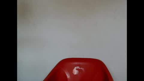 pinkxsugar online show from April 2026 08:31:01 AM