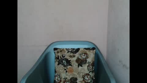 Snapshot of pinkyxxpussy chatting on February 2026 11:19:02 PM pinkyxxpussy online show from February 2026 11:19:02 PM