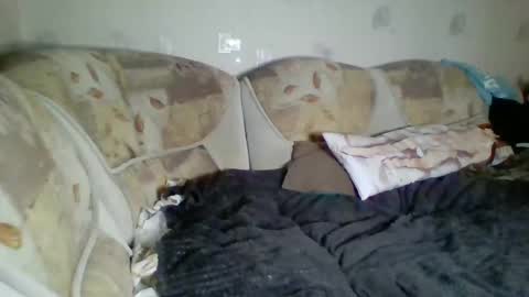 Incubus online show from January 2025 12:43:02 AM