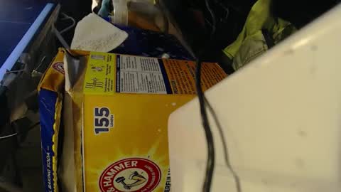 Pisanobear Daddy loose open HairyHole poppers toys online show from February 2026 10:13:02 PM