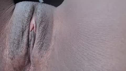 pixel online show from November 2025 06:43:02 PM