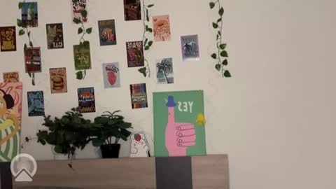 Daryl  online show from January 2026 03:38:01 PM