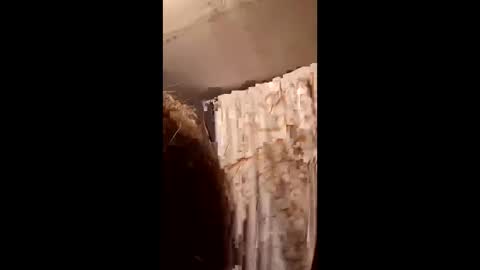 Snapshot of pizzedwife chatting on February 2026 07:09:02 PM pizzedwife online show from February 2026 07:09:02 PM