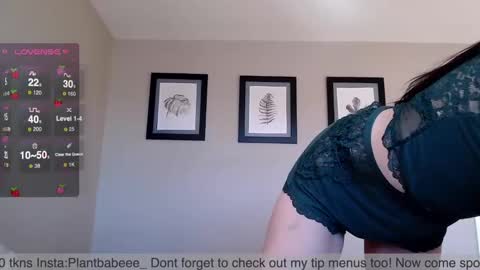 Snapshot of plantbabeee chatting on December 2024 07:16:01 PM Plantbabeee online show from December 2024 07:16:01 PM