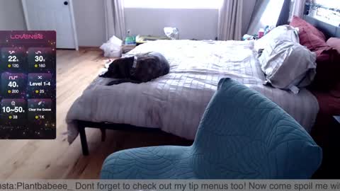 Snapshot of plantbabeee chatting on February 2025 06:00:02 PM Plantbabeee online show from February 2025 06:00:02 PM