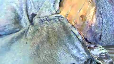 Snapshot of platoniclov chatting on April 2026 12:10:02 PM platoniclov online show from April 2026 12:10:02 PM