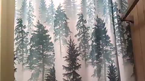 Snapshot of playboy5543 chatting on December 2024 02:37:02 AM SEX ADDICTION WANNA MEET online show from December 2024 02:37:02 AM