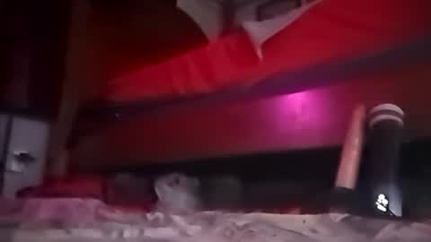 Snapshot of playboy5543 chatting on December 2024 12:44:02 PM SEX ADDICTION WANNA MEET online show from December 2024 12:44:02 PM